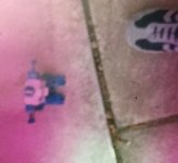 18227C54-7B94-415B-B341-6C0F0BCE6704.jpeg
