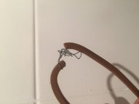 BA10F8D3-0817-4923-90AD-A9ED08CEA617.jpeg