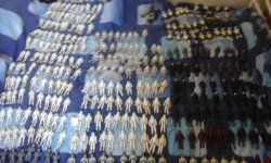 20160826_092147.jpg