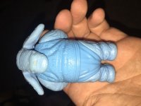 IMG_2431.JPG