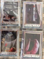 IMG_1052.jpeg