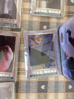 IMG_1054.jpeg