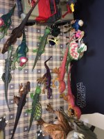 IMG_1061.jpeg