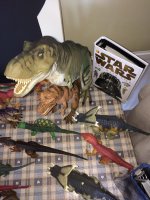 IMG_1062.jpeg