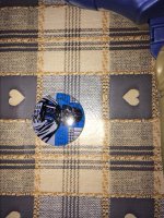 IMG_1064.jpeg