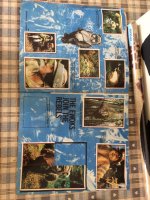 IMG_1210.jpeg