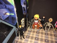 IMG_1267.jpeg