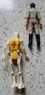 8D8_Leia_2.jpg