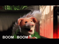 F2D4D549-171C-41EA-A064-A298E7CCA15A.gif