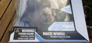 Mace Windu 2.jpeg
