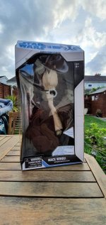 Mace Windu 0.jpeg