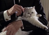 Blofeld_FRWL.jpg