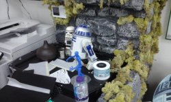 20200815_103757.jpg