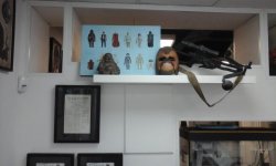 20200815_103832.jpg