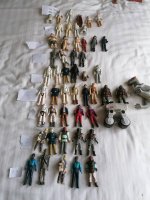 IMG_20200822_105332.jpg