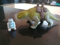 IMG_20200903_160347.jpg