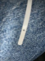 IMG_1706.jpg