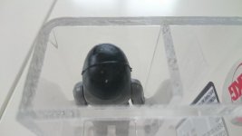 DSC_1982.JPG