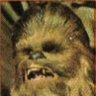 Waltham Wookiee