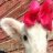 lamby055