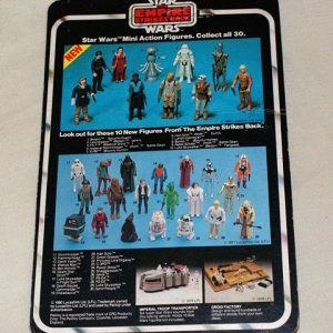 ESB 30 Back.jpg