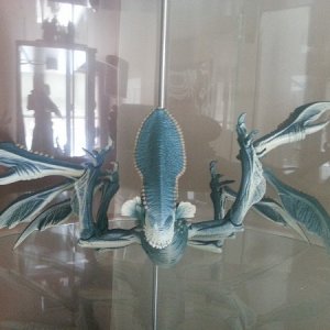 20130324_085212.jpg