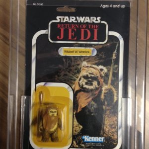 Wicket.JPG