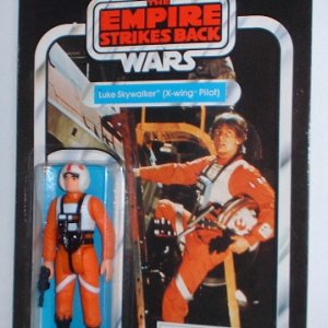 lukexwing30back.JPG