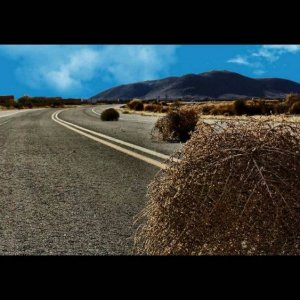 tumbleweed.jpg