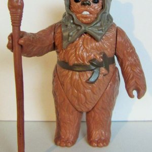 Fig 98.jpg