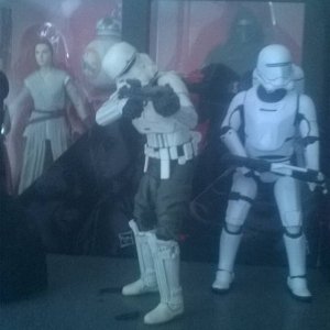 WP_20170615_002.jpg