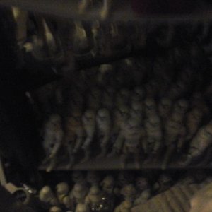 20170805_204303.jpg