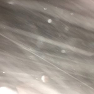 F0F74439-408B-4DAB-8FD2-8C604F030B71.jpeg