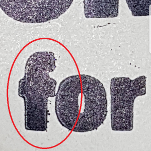 38238169_2008872516069947_6124613210793312256_n.png