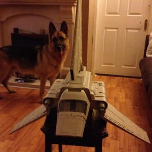 shuttle.jpg