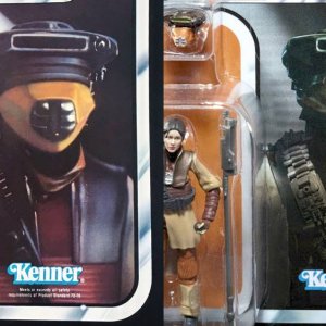 Boushh_1983-2018.jpg
