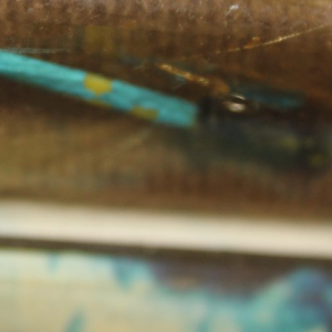 75288905-4201-4D48-9B3C-08E33F65DCA4.png