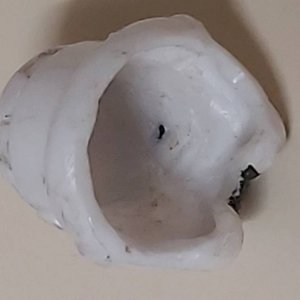 20191120_202753.jpg