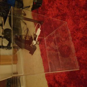 20201118_194454.jpg