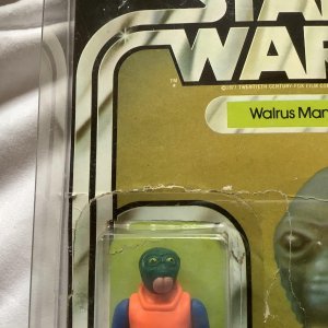 E70153AA-AD1C-4C0E-9468-3545769D9325.jpeg