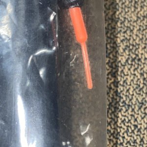IMG_6080.jpeg