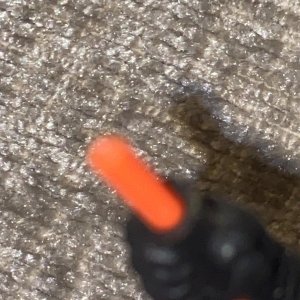 IMG_6220.jpeg
