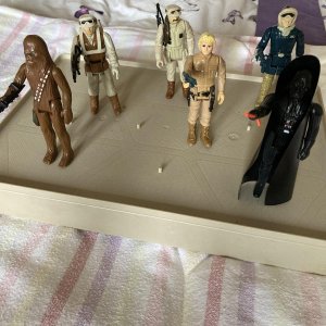 IMG_3791.jpeg