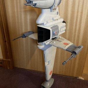 IMG_3769.jpeg