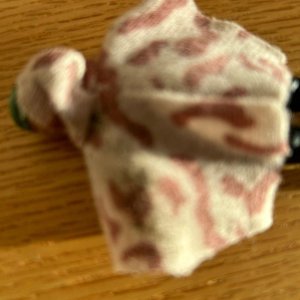 6fd3300d-8422-42e6-af71-eb7e701ed1ad.jpeg