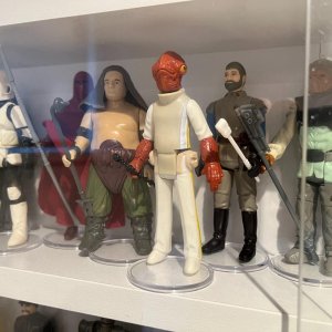 IMG_6471.jpeg