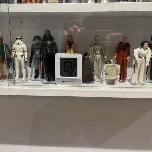 IMG_6720.jpeg