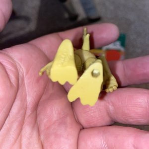 IMG_0881.jpeg