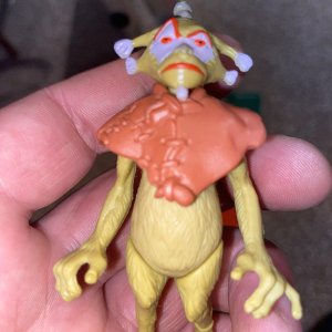 IMG_0882.jpeg
