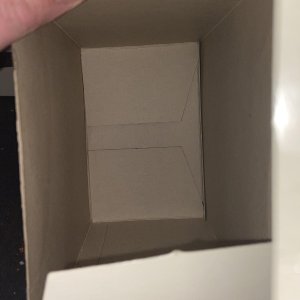 IMG_1189.jpeg